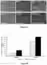 Fig. 10 - Platform for generating safe cell therapeutics