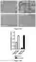 Fig. 19 - Platform for generating safe cell therapeutics
