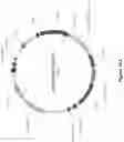 Fig. 22 - Platform for generating safe cell therapeutics