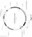 Fig. 35 - Platform for generating safe cell therapeutics