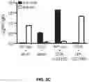 Fig. 07 - Compositions and methods for antigen targeting to CD180