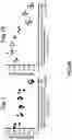 Fig. 09 - Compositions and methods for antigen targeting to CD180