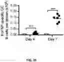 Fig. 12 - Compositions and methods for antigen targeting to CD180