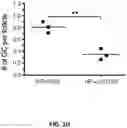 Fig. 15 - Compositions and methods for antigen targeting to CD180