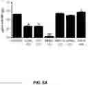Fig. 22 - Compositions and methods for antigen targeting to CD180