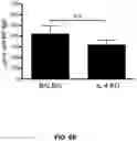 Fig. 23 - Compositions and methods for antigen targeting to CD180