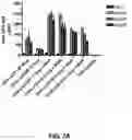 Fig. 25 - Compositions and methods for antigen targeting to CD180