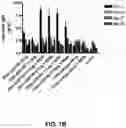 Fig. 26 - Compositions and methods for antigen targeting to CD180