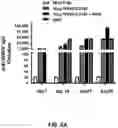 Fig. 27 - Compositions and methods for antigen targeting to CD180