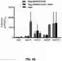 Fig. 28 - Compositions and methods for antigen targeting to CD180