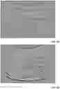 Fig. 06 - VECTORS AND METHODS OF USE