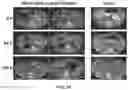 Fig. 14 - VECTORS AND METHODS OF USE