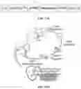 Fig. 24 - VECTORS AND METHODS OF USE