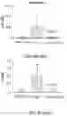 Fig. 37 - VECTORS AND METHODS OF USE