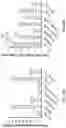 Fig. 47 - VECTORS AND METHODS OF USE