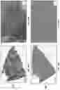 Fig. 63 - VECTORS AND METHODS OF USE