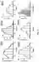 Fig. 27 - REGULATING PROTEIN SPONTANEOUS RUPTURES