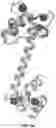 Fig. 28 - REGULATING PROTEIN SPONTANEOUS RUPTURES