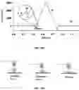 Fig. 30 - REGULATING PROTEIN SPONTANEOUS RUPTURES