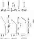 Fig. 56 - REGULATING PROTEIN SPONTANEOUS RUPTURES