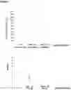 Fig. 04 - Methods and compositions for extracting nucleic acids using ferric oxide particles