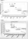 Fig. 10 - Methods and compositions for extracting nucleic acids using ferric oxide particles