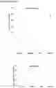 Fig. 22 - Methods and compositions for extracting nucleic acids using ferric oxide particles