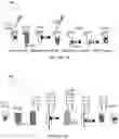 Fig. 02 - METHOD AND MATERIALS FOR ISOLATION OF NUCLEIC ACID MATERIALS