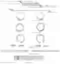 Fig. 03 - PCR primer pair and application thereof