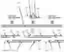 Fig. 01 - Massively parallel contiguity mapping