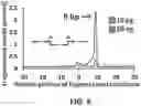 Fig. 06 - Massively parallel contiguity mapping