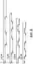 Fig. 07 - Massively parallel contiguity mapping