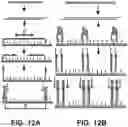 Fig. 13 - Massively parallel contiguity mapping