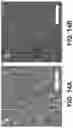 Fig. 15 - Massively parallel contiguity mapping