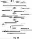 Fig. 20 - Massively parallel contiguity mapping