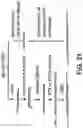 Fig. 22 - Massively parallel contiguity mapping