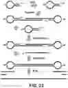 Fig. 24 - Massively parallel contiguity mapping