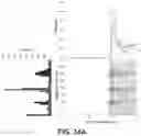 Fig. 35 - Massively parallel contiguity mapping