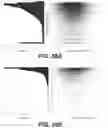 Fig. 40 - Massively parallel contiguity mapping