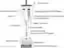 Fig. 01 - AMPLIFICATION OF PAIRED PROTEIN-CODING MRNA SEQUENCES