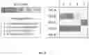 Fig. 09 - AMPLIFICATION OF PAIRED PROTEIN-CODING MRNA SEQUENCES