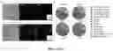 Fig. 27 - Compositions and methods for genomic DNA and gene expression analysis in single cells