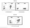 Fig. 06 - CONDITIONAL PROTEIN TRANSLATION SWITCHES, CONDITIONAL GENE EXPRESSION SYSTEMS AND USES THEREOF