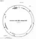 Fig. 40 - Systems and methods for treating alpha 1-antitrypsin (A1AT) deficiency
