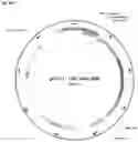 Fig. 43 - Systems and methods for treating alpha 1-antitrypsin (A1AT) deficiency