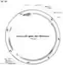 Fig. 46 - Systems and methods for treating alpha 1-antitrypsin (A1AT) deficiency