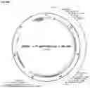 Fig. 50 - Systems and methods for treating alpha 1-antitrypsin (A1AT) deficiency