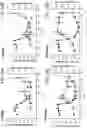 Fig. 29 - SERPINC1 iRNA COMPOSITIONS AND METHODS OF USE THEREOF