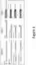 Fig. 02 - Antisense Compounds and Uses Thereof