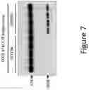 Fig. 08 - Antisense Compounds and Uses Thereof